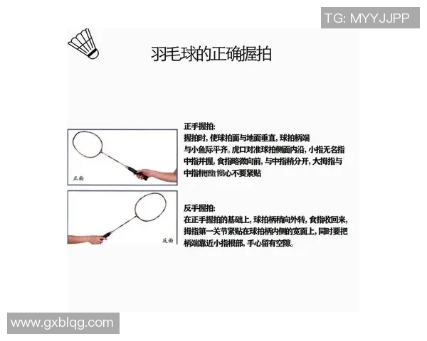 从零起步掌握羽毛球战术技巧全面指南助你成为场上高手