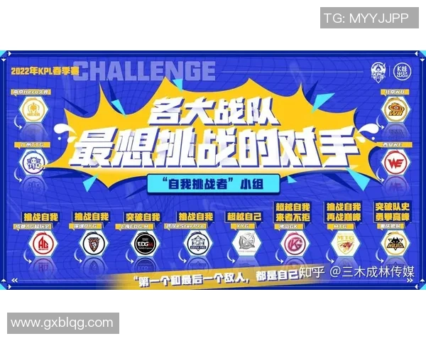 王者荣耀最新比赛经验总结TOP10WE战队表现抢眼引领潮流