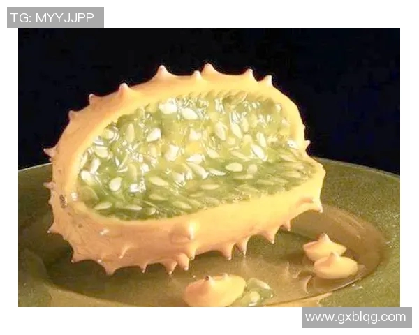 水果的多样魅力：探索全球特色水果的营养价值与健康益处